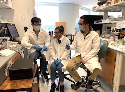 students working in Dong's lab