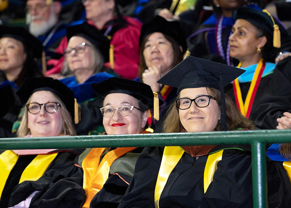 Faculty in doctoral attire sit in the stands at Commencement.