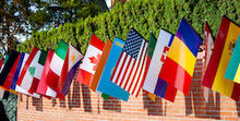 a row of national flags hanging on a wall with bushes behind them